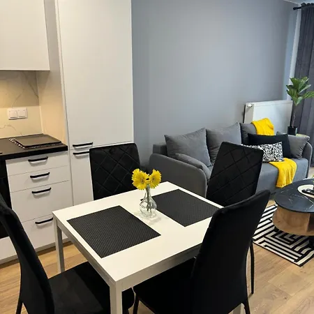 Appartement Grey 2 Pokojowy Z Balkonem W Warszawie Varsovie